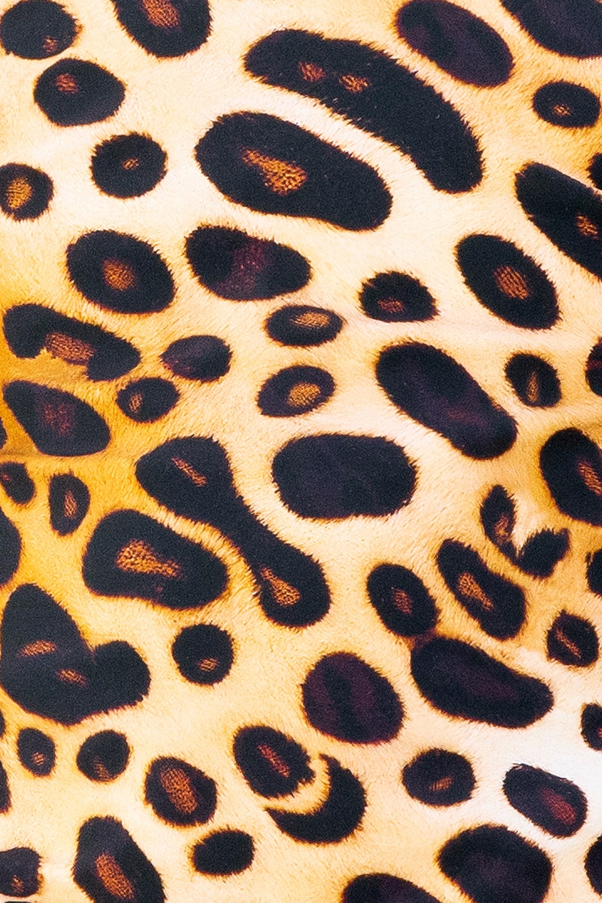 Grace Bikini Bottom Final Sale - Cheetah Fever