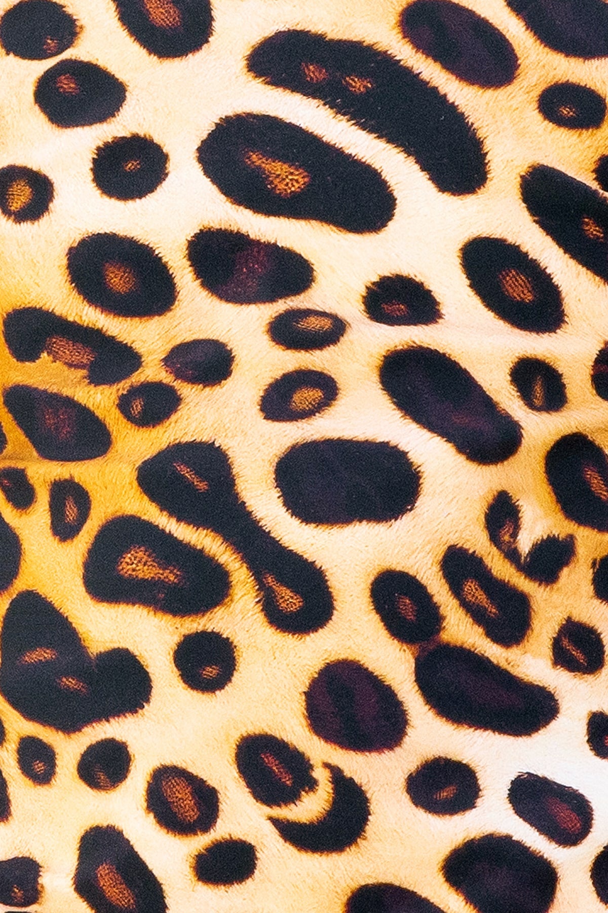 Luna 90's Bottom Final Sale - Cheetah Fever
